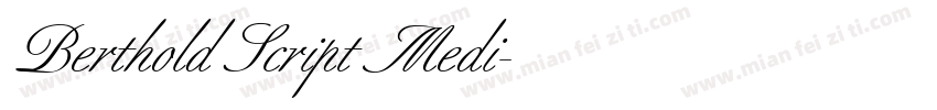 Berthold Script Medi字体转换